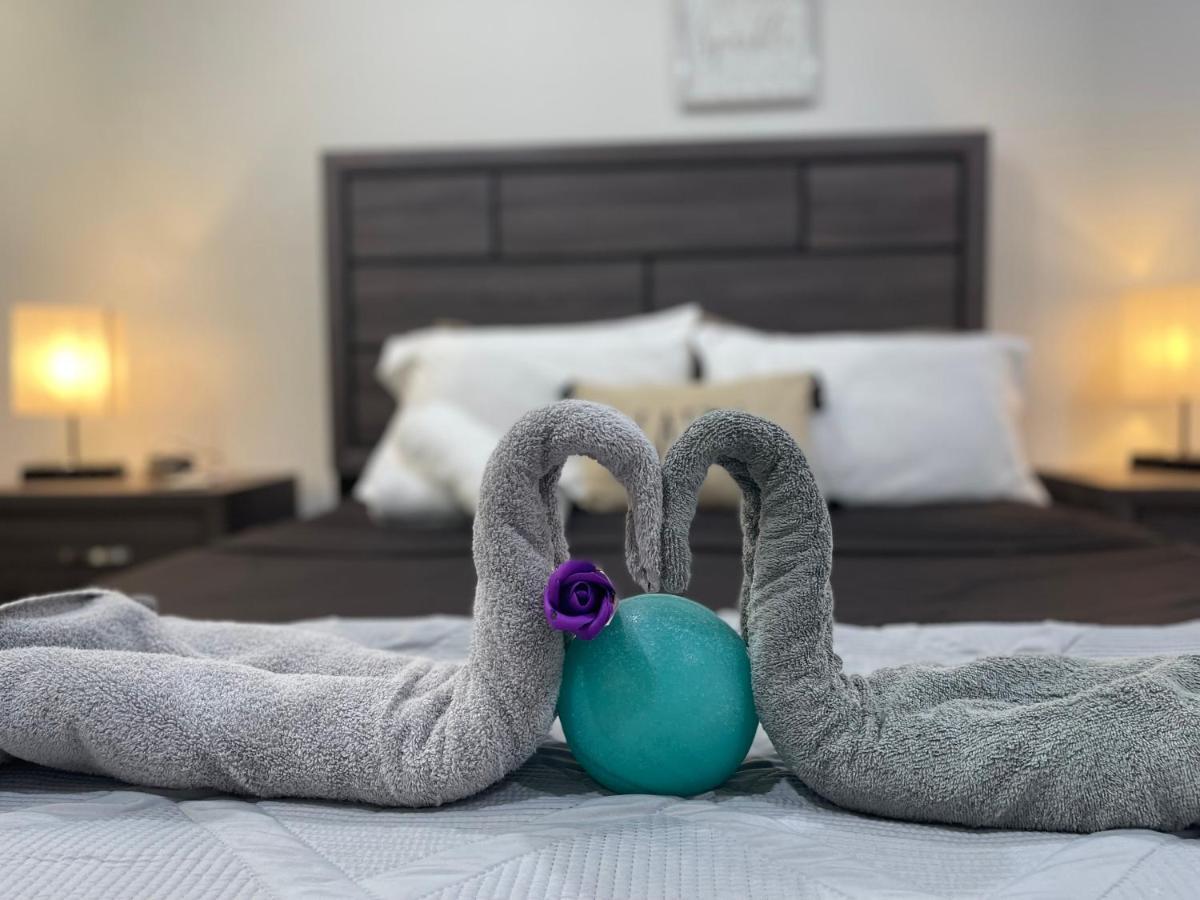 Modern Santorini Suite Houston Nrg Tmc Luxurious Walkable Екстериор снимка